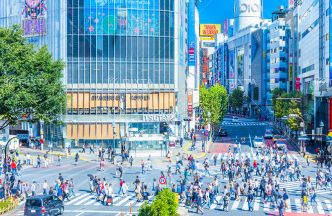 渋谷のシェアハウスの傾向