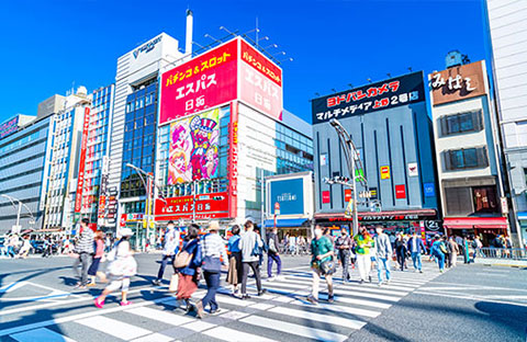 上野のシェアハウスの傾向