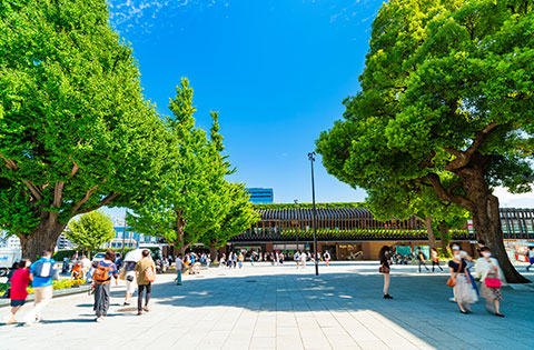 東京都心屈指のオアシス