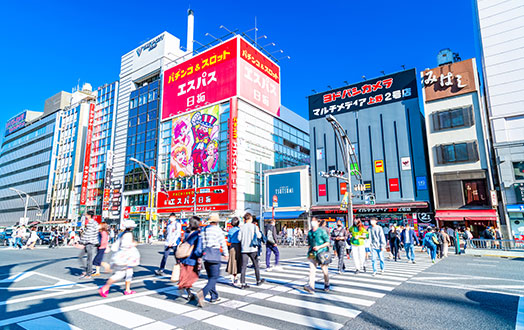 An area where you can enjoy nature while in Tokyo